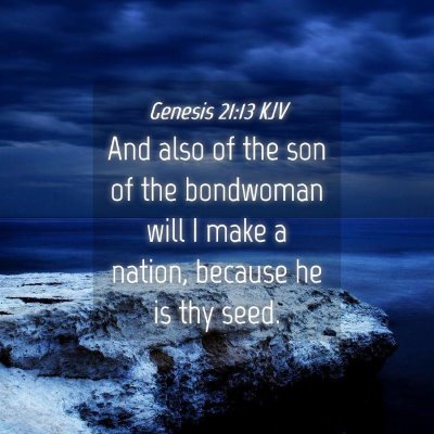 Picture 04 - Genesis 21:13 KJV - And also of the son of the bondwoman will I make - Bible Verse Picture