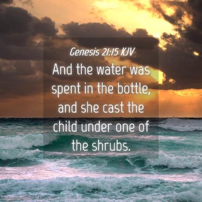 Picture 04 - Genesis 21:15 KJV - And the water was spent in the bottle, and she - Bible Verse Picture