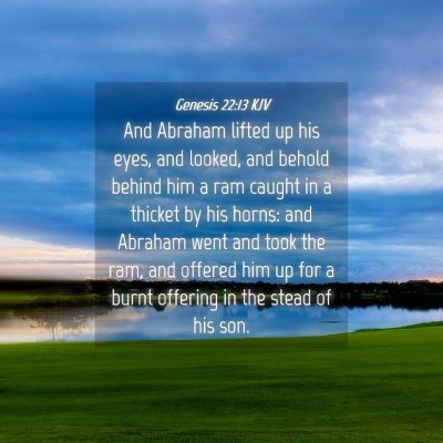 Picture 04 - Genesis 22:13 KJV - And Abraham lifted up his eyes, and looked, and - Bible Verse Picture