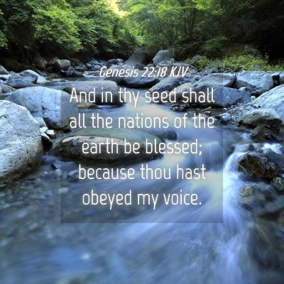 Picture 04 - Genesis 22:18 KJV - And in thy seed shall all the nations of the - Bible Verse Picture