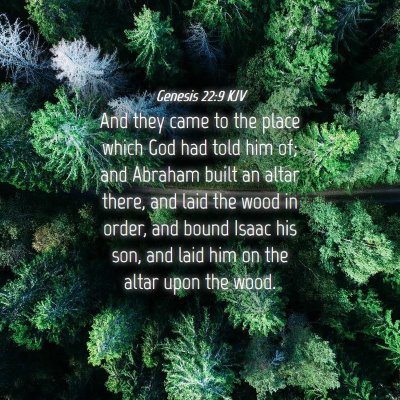 Picture 04 - Genesis 22:9 KJV - And they came to the place which God had told him - Bible Verse Picture