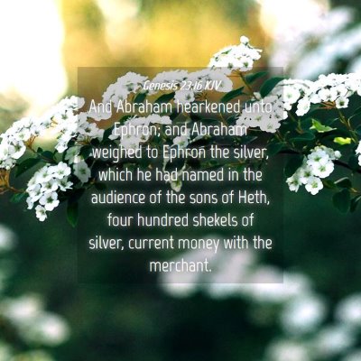 Picture 04 - Genesis 23:16 KJV - And Abraham hearkened unto Ephron; and Abraham - Bible Verse Picture