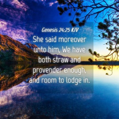 Picture 04 - Genesis 24:25 KJV - She said moreover unto him, We have both straw - Bible Verse Picture