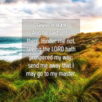 Picture 04 - Genesis 24:56 KJV - And he said unto them, Hinder me not, seeing the - Bible Verse Picture