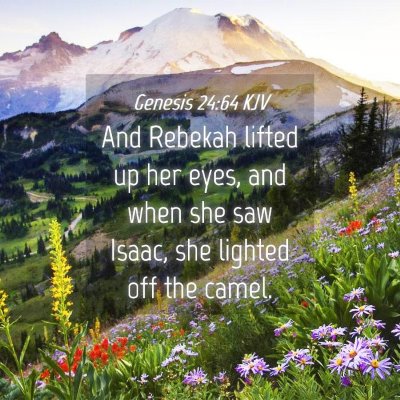 Picture 04 - Genesis 24:64 KJV - And Rebekah lifted up her eyes, and when she saw - Bible Verse Picture