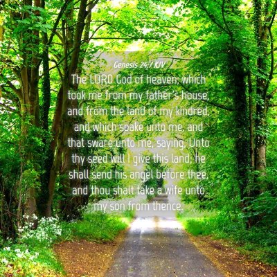Picture 04 - Genesis 24:7 KJV - The LORD God of heaven, which took me from my - Bible Verse Picture
