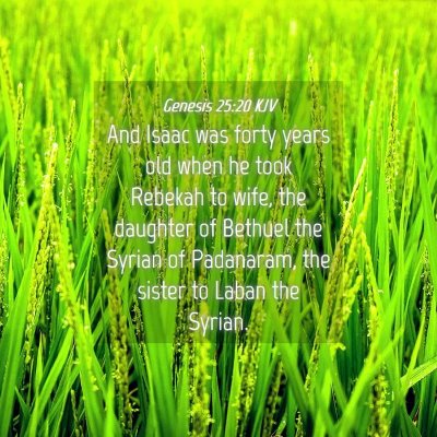 Picture 04 - Genesis 25:20 KJV - And Isaac was forty years old when he took - Bible Verse Picture
