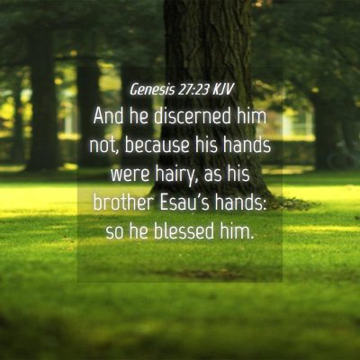 Picture 04 - Genesis 27:23 KJV - And he discerned him not, because his hands were - Bible Verse Picture