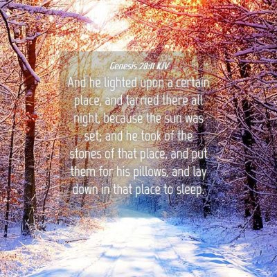 Picture 04 - Genesis 28:11 KJV - And he lighted upon a certain place, and tarried - Bible Verse Picture
