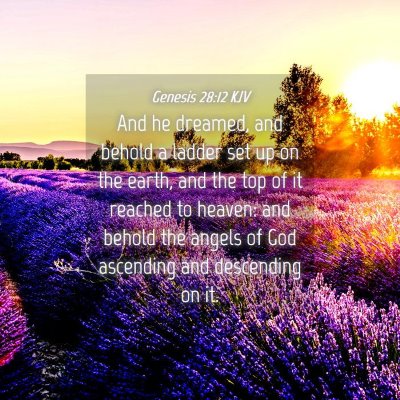 Picture 04 - Genesis 28:12 KJV - And he dreamed, and behold a ladder set up on the - Bible Verse Picture