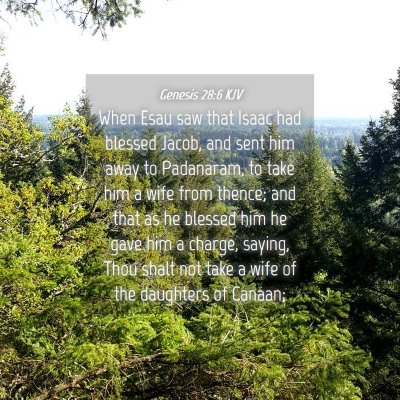 Picture 04 - Genesis 28:6 KJV - When Esau saw that Isaac had blessed Jacob, and - Bible Verse Picture