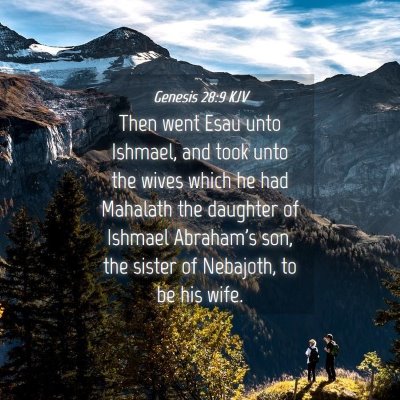 Picture 04 - Genesis 28:9 KJV - Then went Esau unto Ishmael, and took unto the - Bible Verse Picture