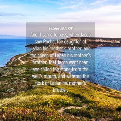 Picture 04 - Genesis 29:10 KJV - And it came to pass, when Jacob saw Rachel the - Bible Verse Picture