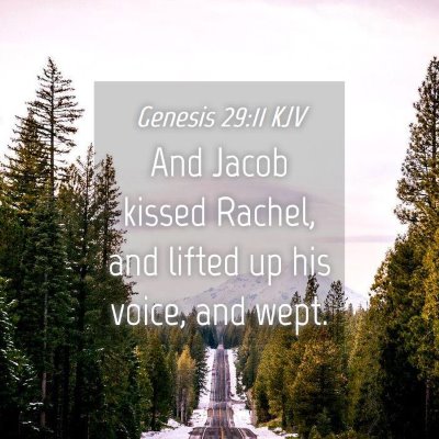 Picture 04 - Genesis 29:11 KJV - And Jacob kissed Rachel, and lifted up his voice, - Bible Verse Picture