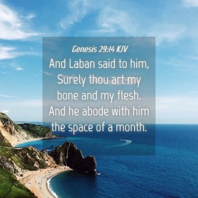 Picture 04 - Genesis 29:14 KJV - And Laban said to him, Surely thou art my bone - Bible Verse Picture
