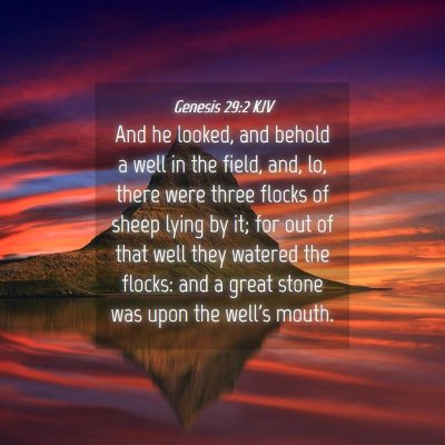 Picture 04 - Genesis 29:2 KJV - And he looked, and behold a well in the field, - Bible Verse Picture
