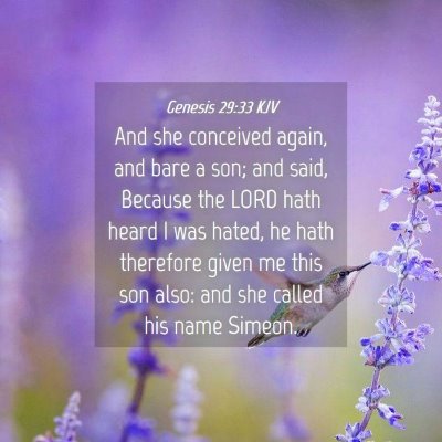 Picture 04 - Genesis 29:33 KJV - And she conceived again, and bare a son; and - Bible Verse Picture