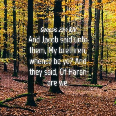Picture 04 - Genesis 29:4 KJV - And Jacob said unto them, My brethren, whence be - Bible Verse Picture