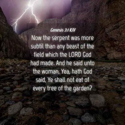 Picture 04 - Genesis 3:1 KJV - Now the serpent was more subtil than any beast of - Bible Verse Picture
