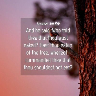 Picture 04 - Genesis 3:11 KJV - And he said, Who told thee that thou wast naked? - Bible Verse Picture