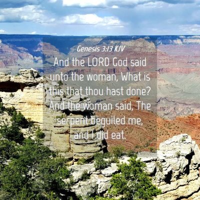 Picture 04 - Genesis 3:13 KJV - And the LORD God said unto the woman, What is - Bible Verse Picture