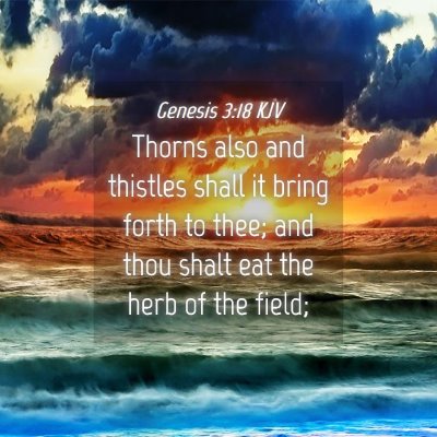 Picture 04 - Genesis 3:18 KJV - Thorns also and thistles shall it bring forth to - Bible Verse Picture