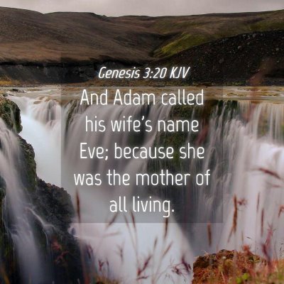 Picture 04 - Genesis 3:20 KJV - And Adam called his wife's name Eve; because she - Bible Verse Picture