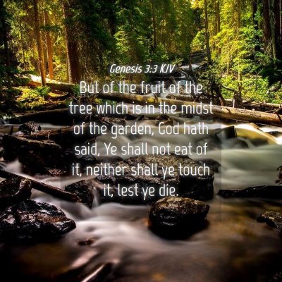 Picture 04 - Genesis 3:3 KJV - But of the fruit of the tree which is in the - Bible Verse Picture