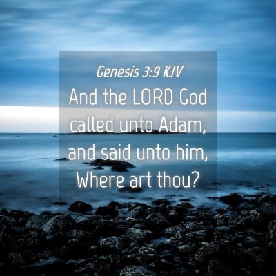 Picture 04 - Genesis 3:9 KJV - And the LORD God called unto Adam, and said unto - Bible Verse Picture