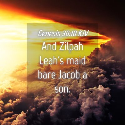 Picture 04 - Genesis 30:10 KJV - And Zilpah Leah's maid bare Jacob a - Bible Verse Picture