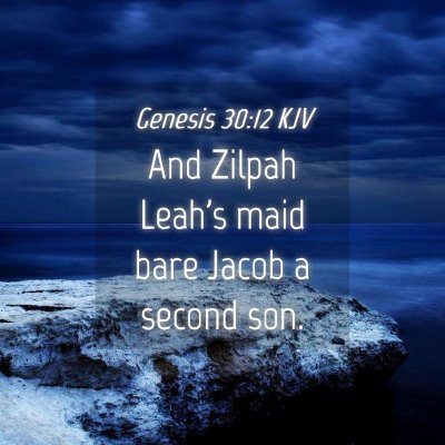 Picture 04 - Genesis 30:12 KJV - And Zilpah Leah's maid bare Jacob a second - Bible Verse Picture