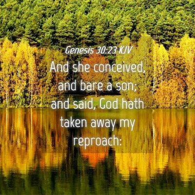 Picture 04 - Genesis 30:23 KJV - And she conceived, and bare a son; and said, God - Bible Verse Picture