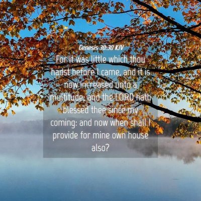 Picture 04 - Genesis 30:30 KJV - For it was little which thou hadst before I came, - Bible Verse Picture