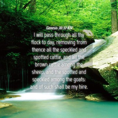 Picture 04 - Genesis 30:32 KJV - I will pass through all thy flock to day, - Bible Verse Picture