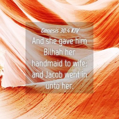 Picture 04 - Genesis 30:4 KJV - And she gave him Bilhah her handmaid to wife: and - Bible Verse Picture