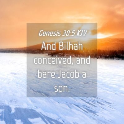 Picture 04 - Genesis 30:5 KJV - And Bilhah conceived, and bare Jacob a - Bible Verse Picture