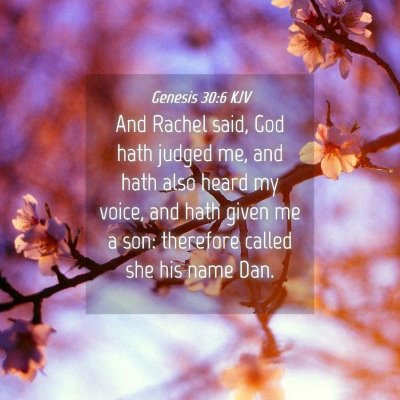 Picture 04 - Genesis 30:6 KJV - And Rachel said, God hath judged me, and hath - Bible Verse Picture