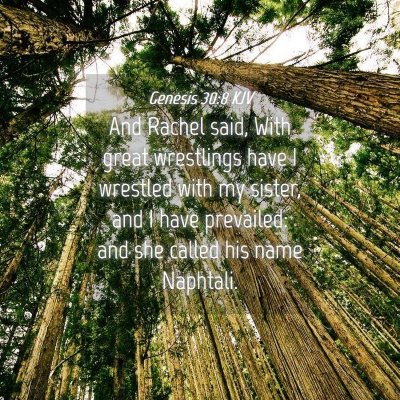 Picture 04 - Genesis 30:8 KJV - And Rachel said, With great wrestlings have I - Bible Verse Picture