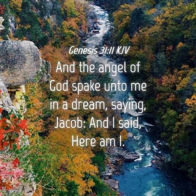 Picture 04 - Genesis 31:11 KJV - And the angel of God spake unto me in a dream, - Bible Verse Picture