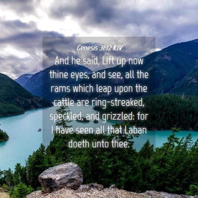 Picture 04 - Genesis 31:12 KJV - And he said, Lift up now thine eyes, and see, all - Bible Verse Picture