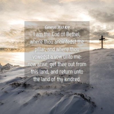 Picture 04 - Genesis 31:13 KJV - I am the God of Bethel, where thou anointedst the - Bible Verse Picture