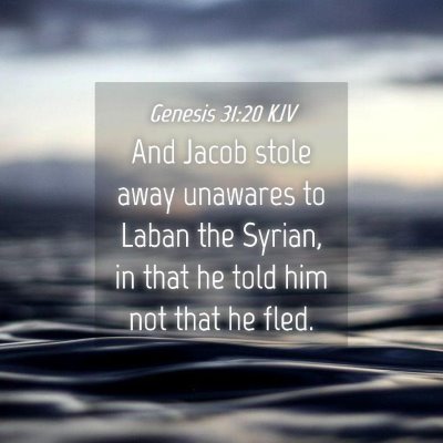 Picture 04 - Genesis 31:20 KJV - And Jacob stole away unawares to Laban the - Bible Verse Picture