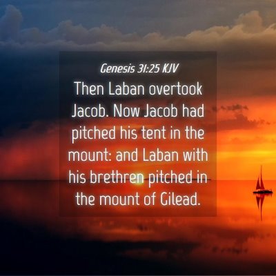 Picture 04 - Genesis 31:25 KJV - Then Laban overtook Jacob. Now Jacob had pitched - Bible Verse Picture