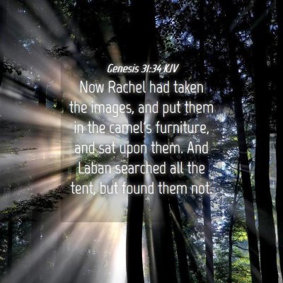 Picture 04 - Genesis 31:34 KJV - Now Rachel had taken the images, and put them in - Bible Verse Picture