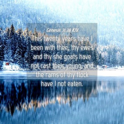 Picture 04 - Genesis 31:38 KJV - This twenty years have I been with thee; thy ewes - Bible Verse Picture