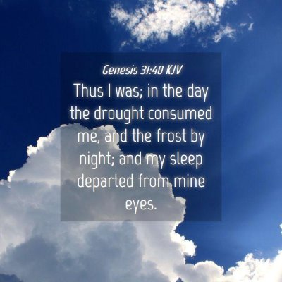 Picture 04 - Genesis 31:40 KJV - Thus I was; in the day the drought consumed me, - Bible Verse Picture