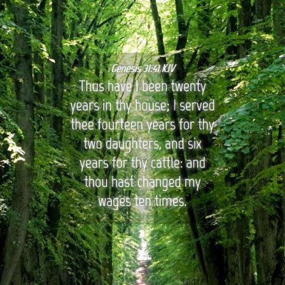 Picture 04 - Genesis 31:41 KJV - Thus have I been twenty years in thy house; I - Bible Verse Picture