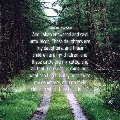 Picture 04 - Genesis 31:43 KJV - And Laban answered and said unto Jacob, These - Bible Verse Picture
