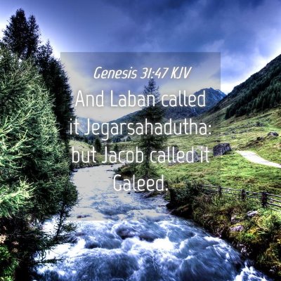 Picture 04 - Genesis 31:47 KJV - And Laban called it Jegarsahadutha: but Jacob - Bible Verse Picture