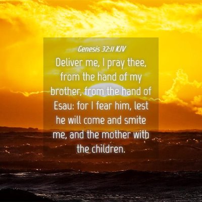 Picture 04 - Genesis 32:11 KJV - Deliver me, I pray thee, from the hand of my - Bible Verse Picture